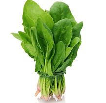 Cải bó xôi Đà Lạt
